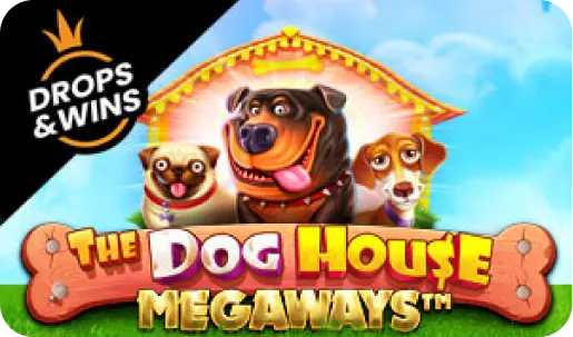 Igra Dog House